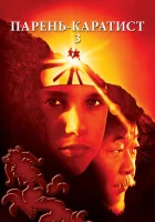 Парень-каратист 3 смотреть онлайн (1989)